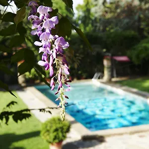 Park Palace Floransa